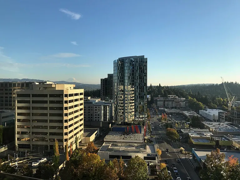 Mt. Rainier View