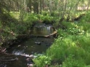 23060 W Parks Hwy, Wasilla, AK 99623