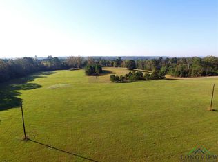 Tbd Armadillo Road S Sid, Gilmer, TX 75644