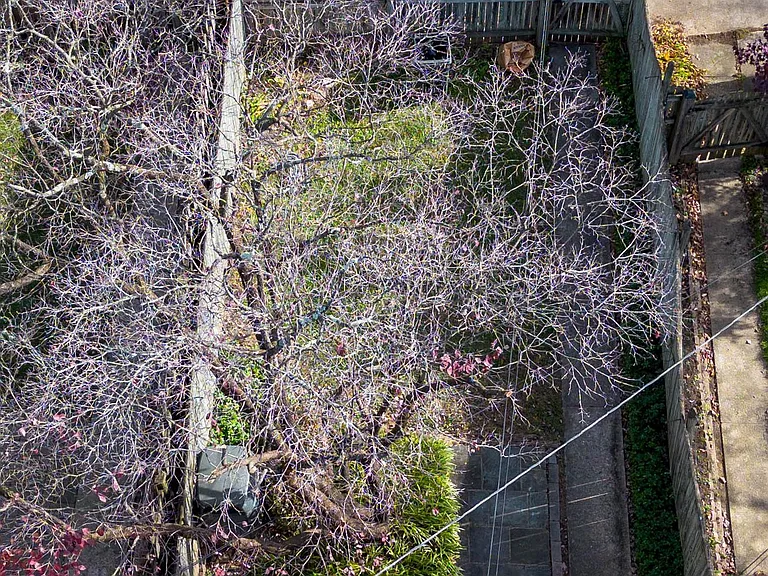 127 Stanmore Rd — Photo 35
