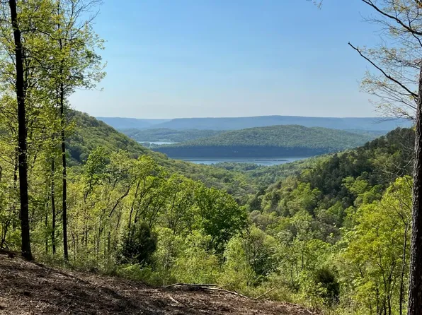 0 Birds Eye Way #1072, Guild, TN 37340