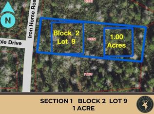 242 Iron Horse Rd LOT 9, New Waverly, TX 77358
