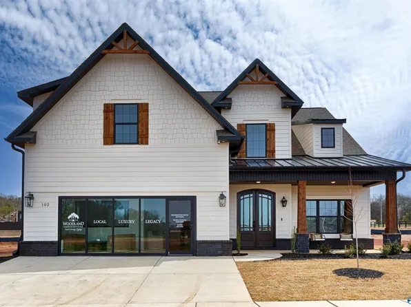 111 Grand Springs Ct, Madison, AL 35756