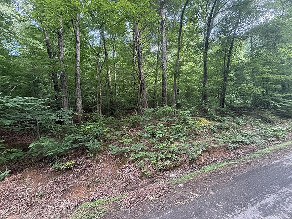 2nd image of 0 Caney Branch Rd Lot 23