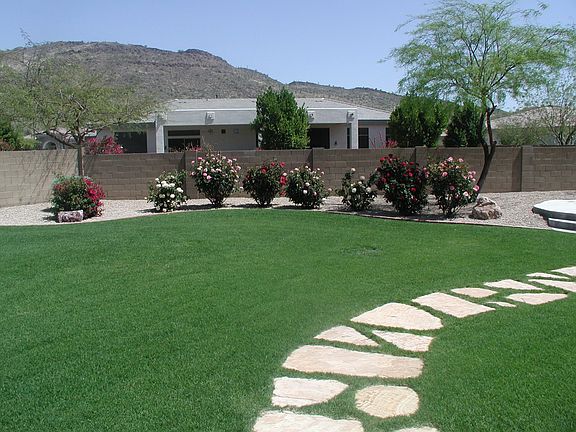 Yard