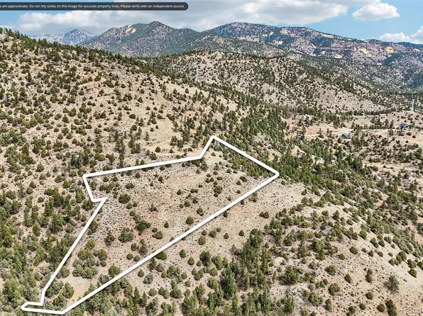 257 Wildlife Trail, Idaho Springs, CO 80453