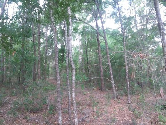 4th image of 12180 S Elm Point