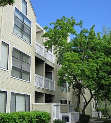 Court Yard View