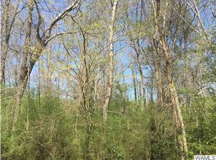 0 Frank Lary Rd #0, Northport, AL 35475