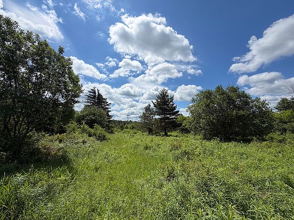 2nd image of Cassadaga Stockton Rd Lot Wp001