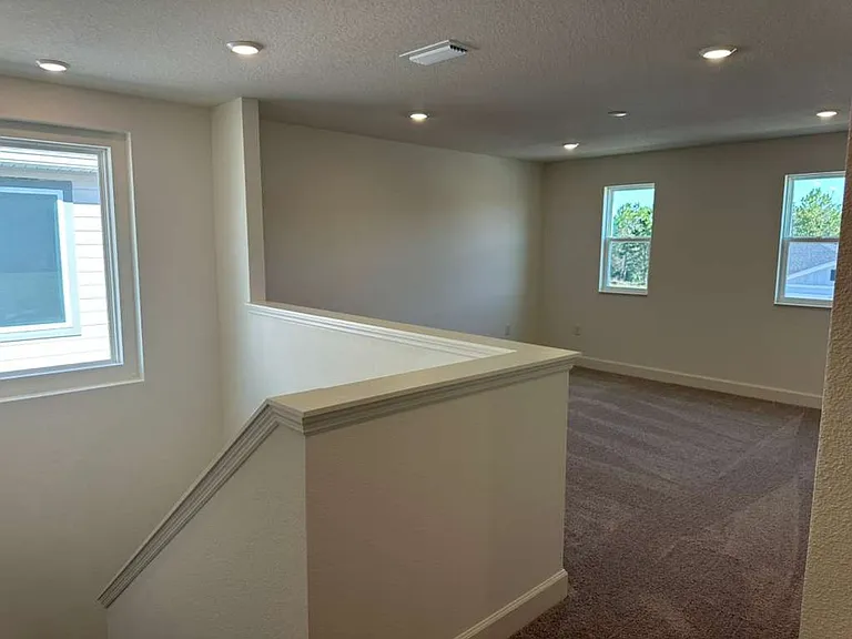 3449 Sanctuary Dr — Photo 11