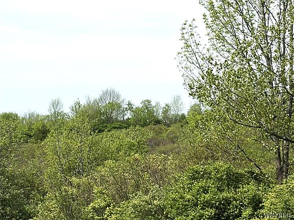 4th image of 0 Stinson Rd Lot 45