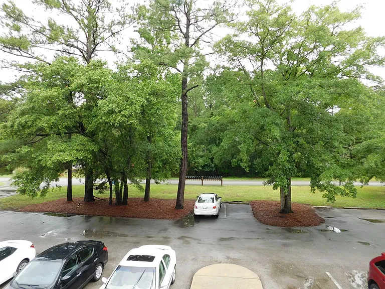 6222 Harbourside Dr — Photo 4