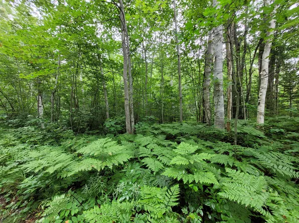 228-231 Vermillion Ln, Millersburg, MI 49759