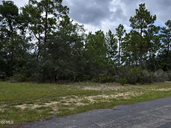 2899 W Santana Dr, Citrus Springs, FL 34433