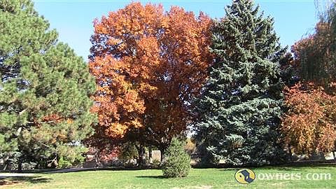 Buildable Lot, Mature trees, Well