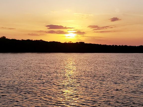 Sunset from the dock, alligators, manatees. dolphin and fish