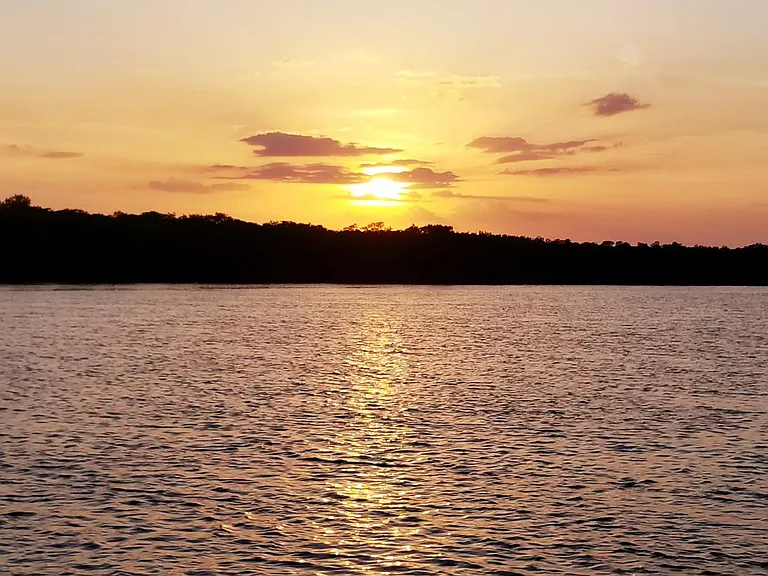 Sunset from the dock, alligators, manatees. dolphin and fish