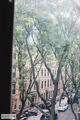 Rented by Native Real Estate LLC | media 18