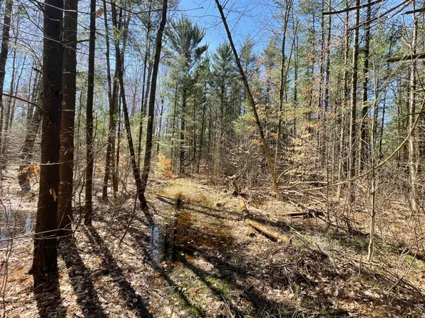 3190 E Loop Rd, Hesperia, MI 49421