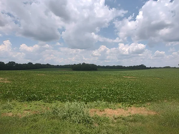 1 Benton Rd, Cedar Hill, TN 37032