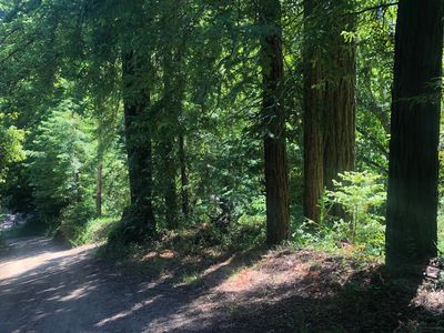 278 Garrapatos Redwoods Ests, Carmel, CA, 93923