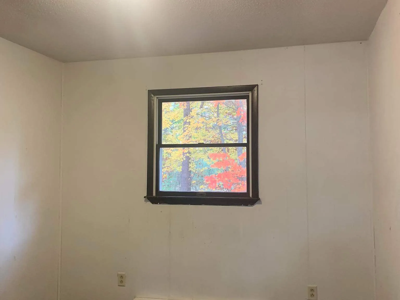 2 bed, 830 sqft, $1,100 — Photo 4