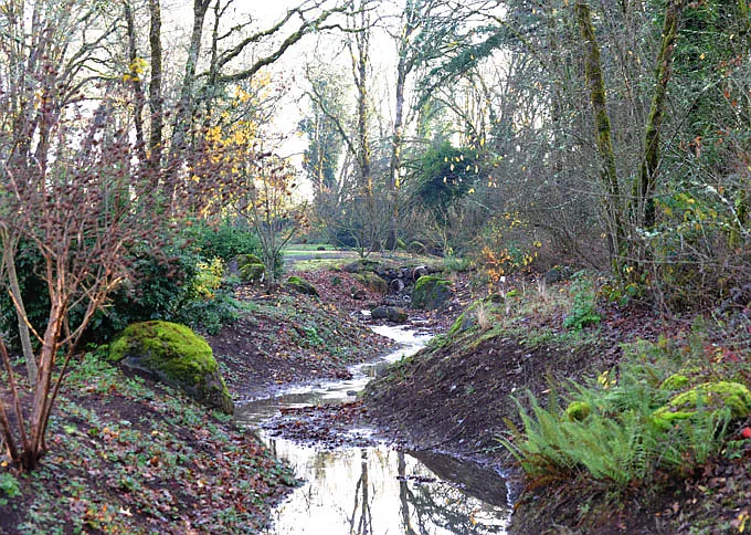 Bioswale
