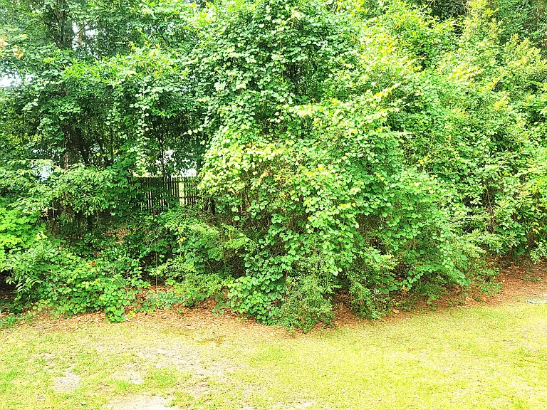 607 Longleaf Rd #A — Photo 23