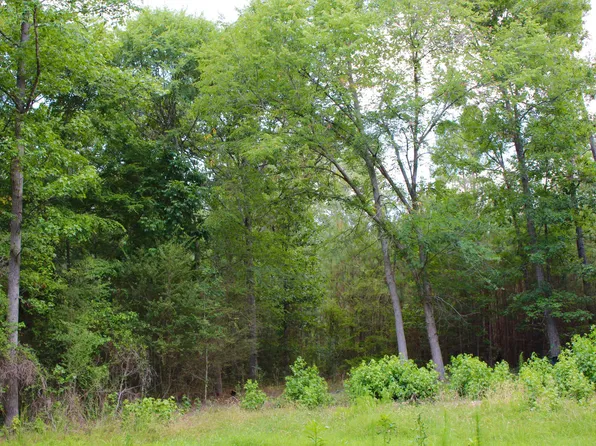 1920 Alston Chapel Rd, Pittsboro, NC 27312