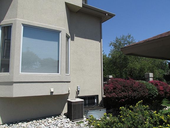 Living Room and Basement Bedroom Windows