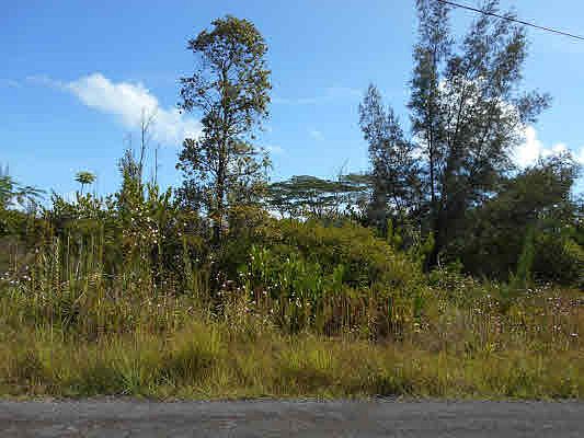 4th image of 2nd Ave Lot 2831