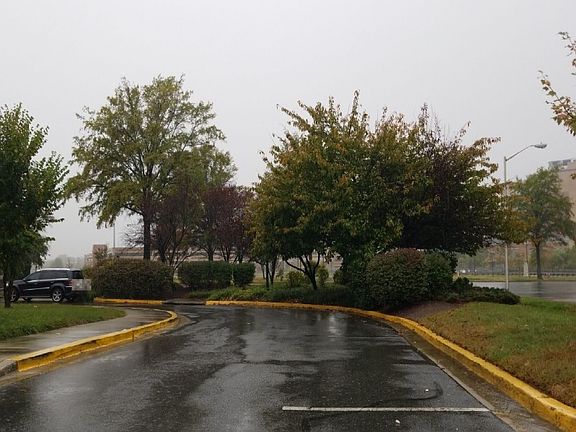 4th image of 9613 Reiker Dr