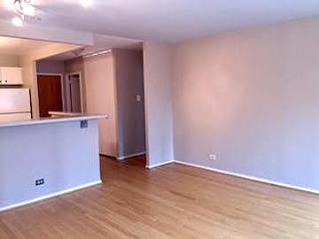 4th image of 211 E Ohio St APT 1119