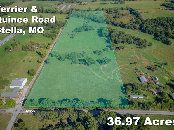 000 Terrier Road, Stella, MO 64867