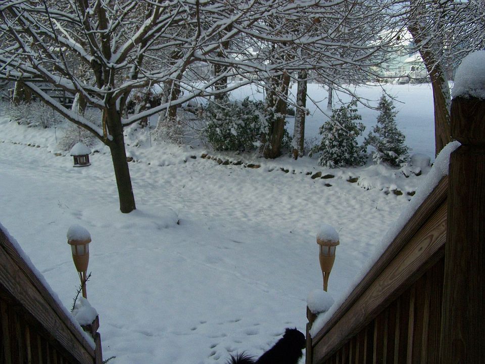 2nd image of 4619 Granite Dr