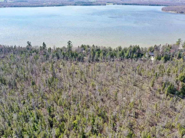 179 Roth Rd, Pellston, MI 49769