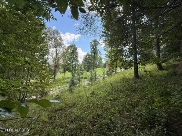 Foxwood Dr, Caryville, TN 37714