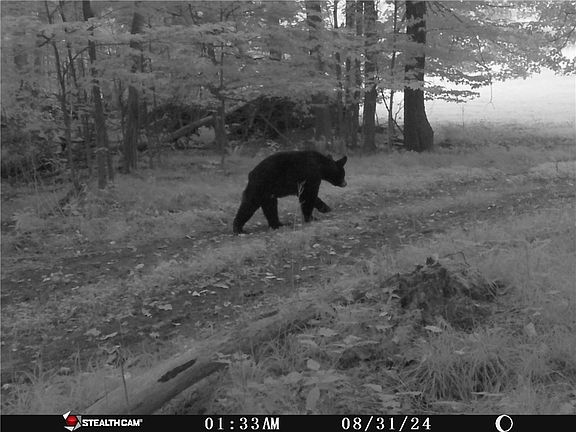 3rd image of 5132 County Route 25 N