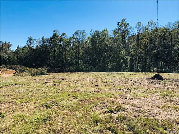 3rd image of 2301 W State Highway 106