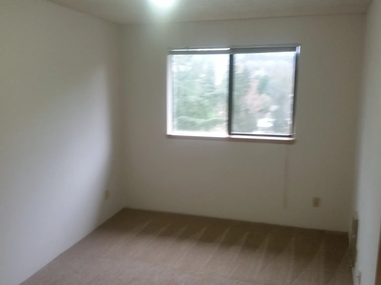 1 bed, 580 sqft, $1,699 — Photo 3