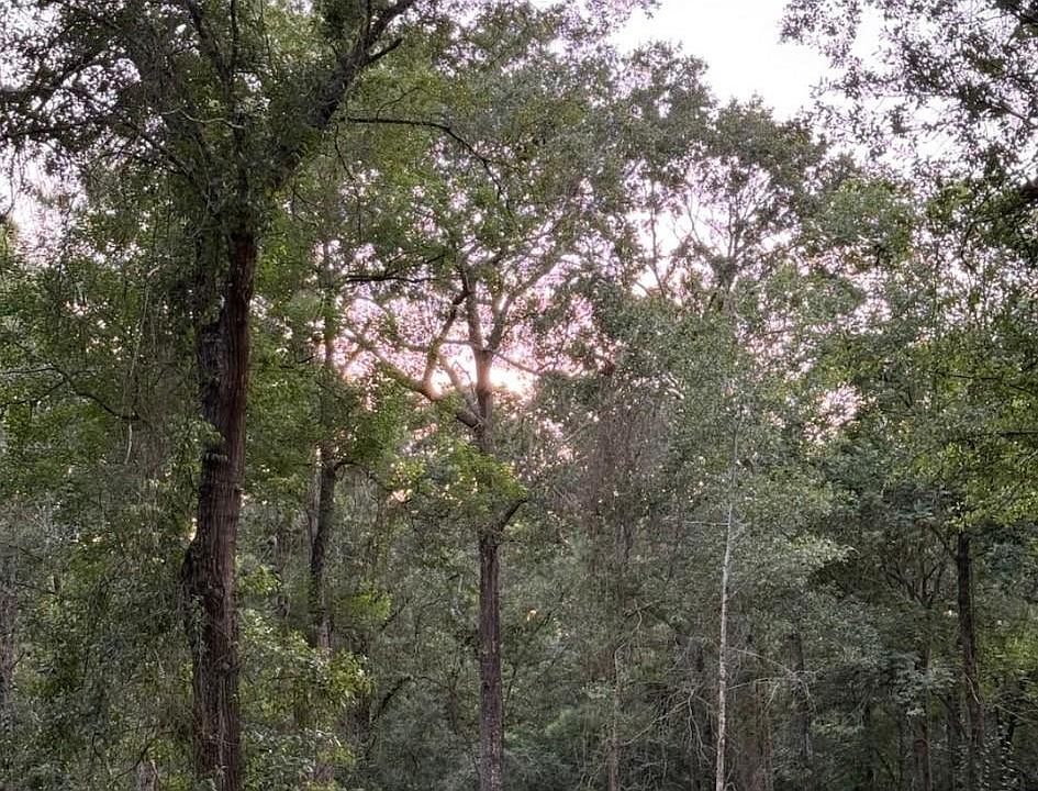 1st image of 26164 Grand Pines Rd #4-18D