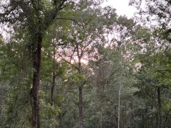 26164 Grand Pines Rd #4-18D, Magnolia, TX 77355