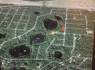 0 NE 117th Ave, Fort Mc Coy, FL 32134