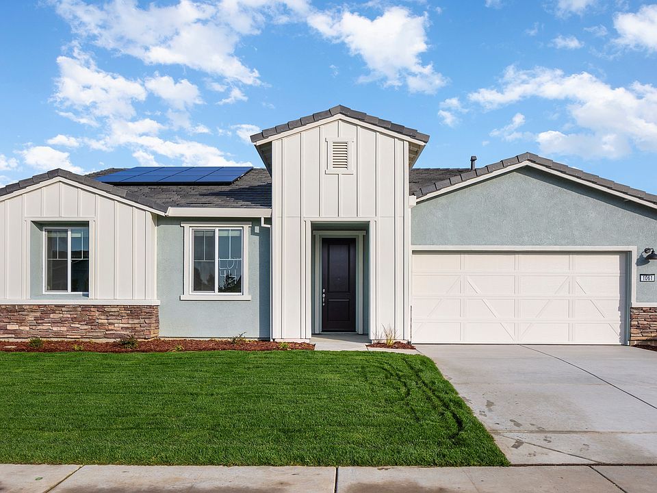 Begonia American Farmhouse B