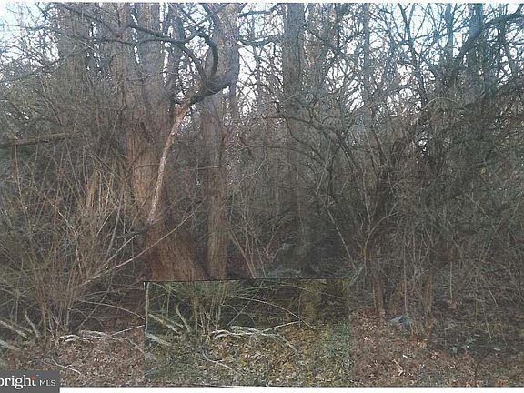 5th image of 0 Ross Ln