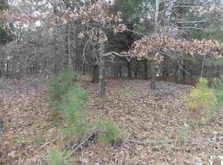 217 Nighthawk Dr LOT 423, Murray, KY 42071