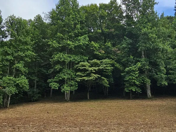 Caney Valley Rd, Surgoinsville, TN 37873