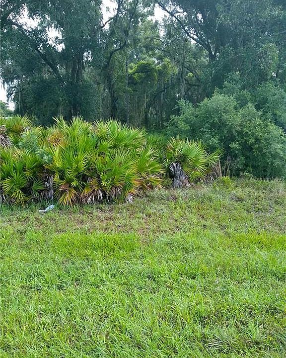 2nd image of 6023 County Road 44a