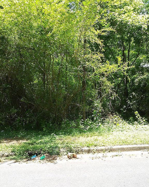 2nd image of 108 Blue Creek Ct